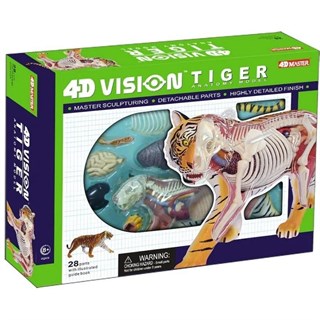 4D Master Vision Oyuncak Kaplan Anatomi Modeli