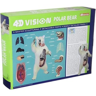 4D Master Vision Oyuncak Kutup Ayısı Anatomi Modeli