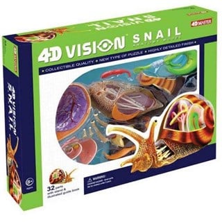 4D Master Vision Oyuncak Sümüklü Böcek Anatomi Modeli