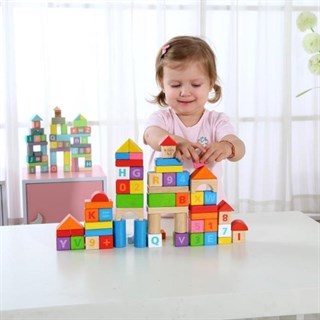 Tooky Toy Eğitici Blok Seti 70 Parça